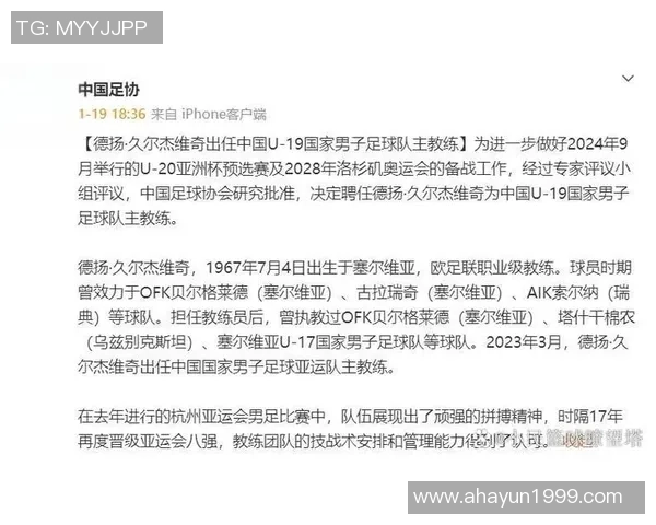 上海足球队的速度变革引发热议新战术与年轻球员的崛起